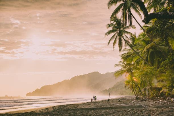 Golden hour tropical beach with palm trees