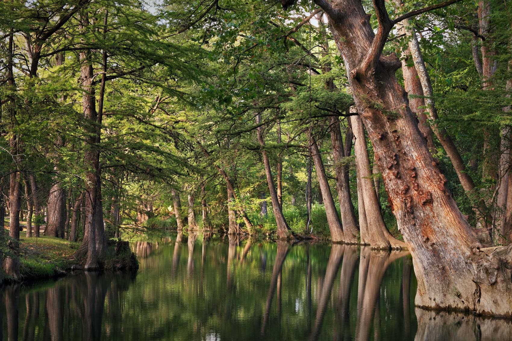 Texas Hill Country river with cypress trees